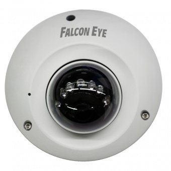 Видеокамера Falcon Eye FE-IPC-D2-10pm