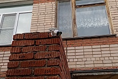 Видеонаблюдение в Детском Саду № 283 г. Челябинска